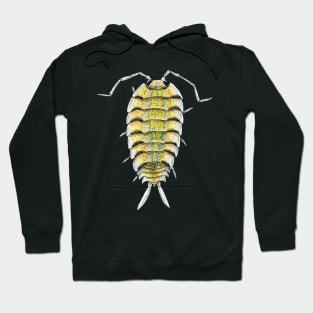 Porcellio bolivari Isopod Hoodie